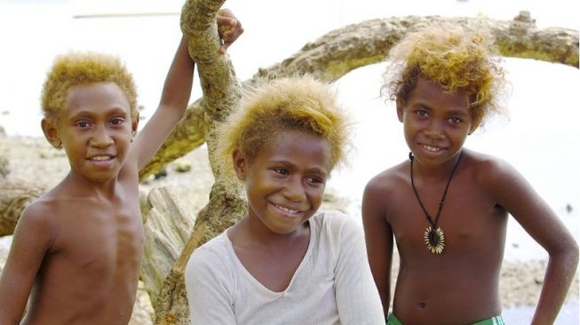 82533-ras-melanesians-ipinimgcom.jpg