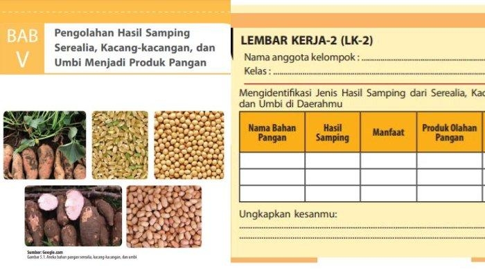 prakarya-kelas-8-semester-2.jpg