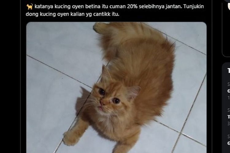 64b23b783a741.jpeg