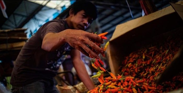 Kuatbaca.jpg
