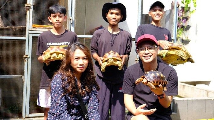 bisnis-kura-kura-darat-1_169.jpeg