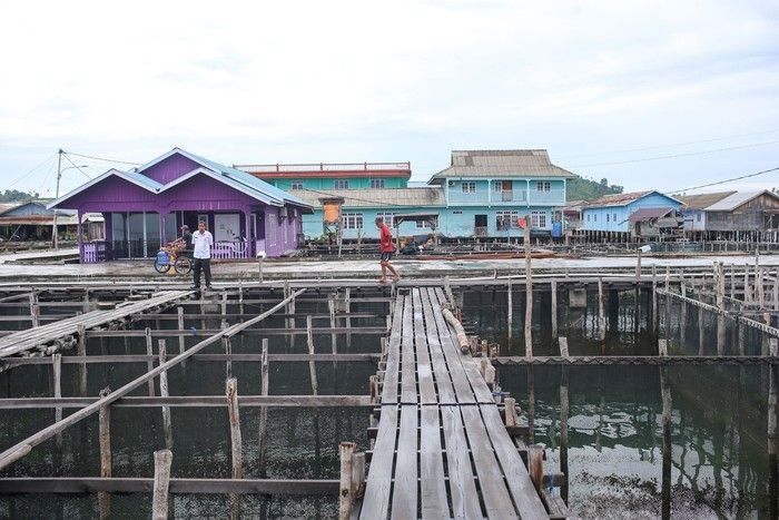 budi-daya-ikan-napoelon-2.jpeg