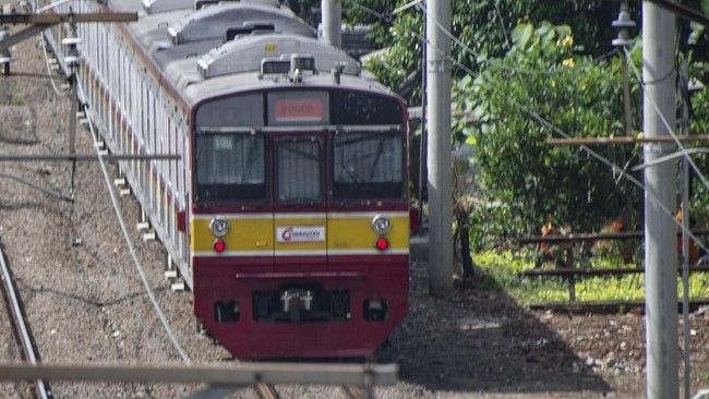 d95637d0-4b01-4219-b36e-4e6aaa2935a9_169.jpeg