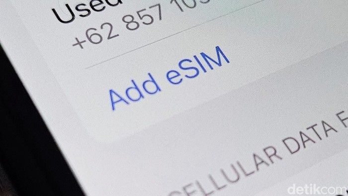 esim-1_169.jpeg