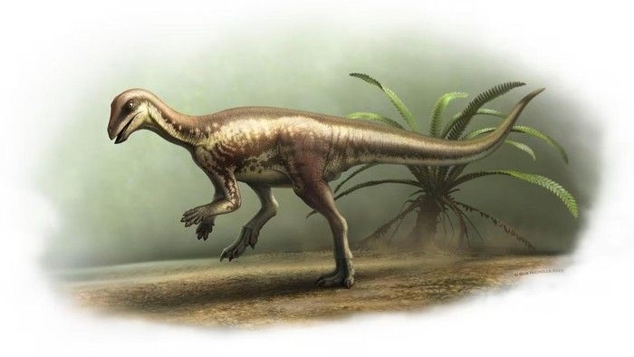 fosil-dinosaurus-1751432910882.jpeg