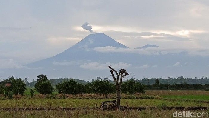 gunung-semeru-1742176402184_169.jpeg