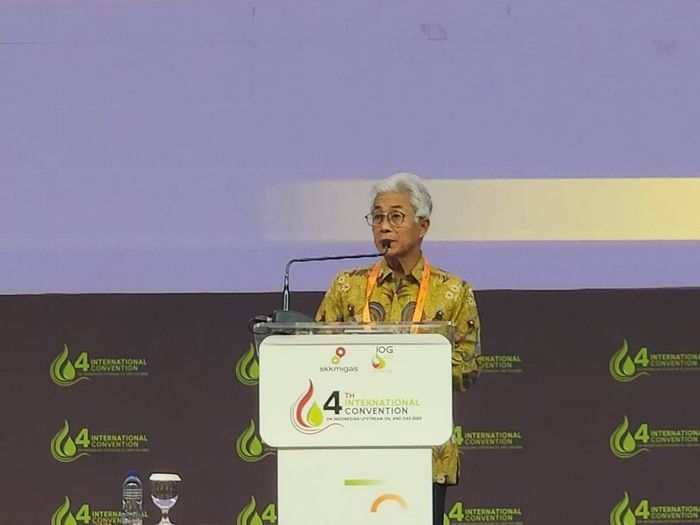kepala-skk-migas-dwi-soetjipto.jpeg