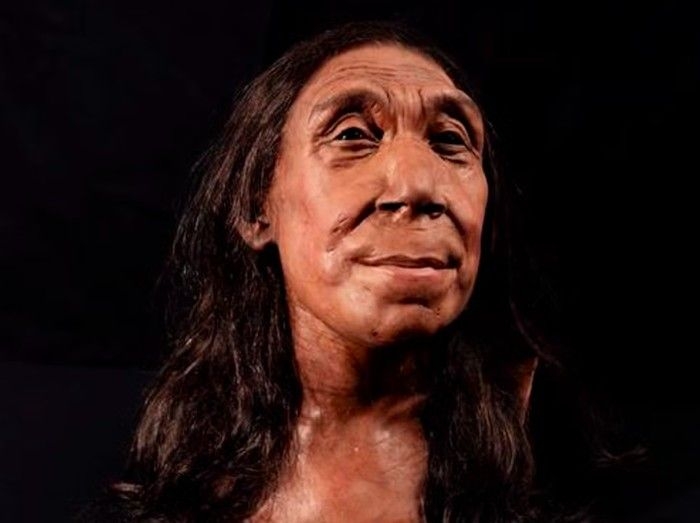 manusia-purba-neanderthal_43.png