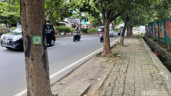 pohon-di-margonda-depok-dipasang-barcode_169.jpeg