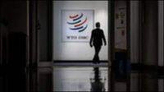 refleksi-kekalahan-indonesia-di-wto_169.jpeg