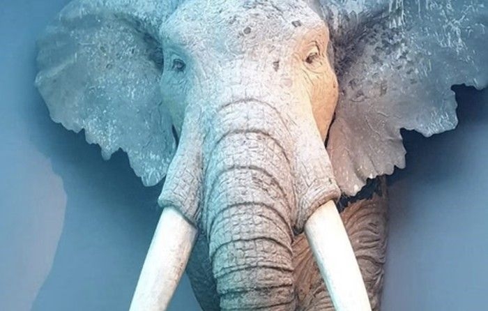 spesies-fosil-gajah-di-india.png
