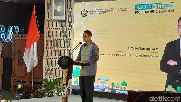 wakil-menteri-esdm-yuliot-tanjung_169.jpeg