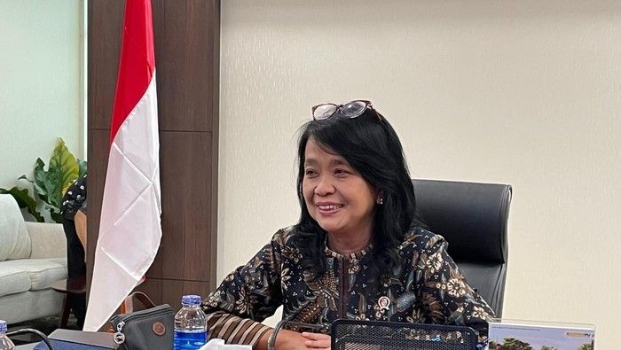 wakil-menteri-pu-diana-kusumastuti-2_169.jpeg