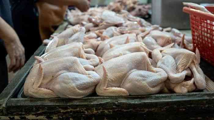 Harga Ayam Naik di Sejumlah Daerah, Bapanas Siapkan Subsidi Ongkos Distribusi untuk Dukung MBG