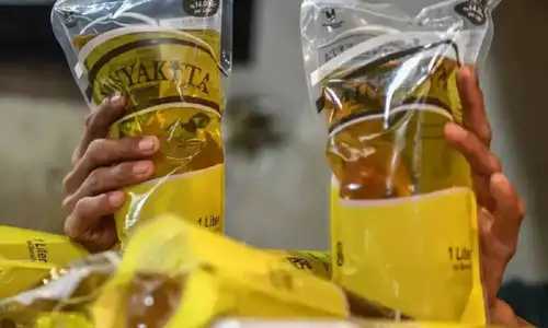 Minyakita Diduga Berbau Solar, Pemerintah Tarik Produk dan Siapkan Sanksi Tegas untuk Produsen