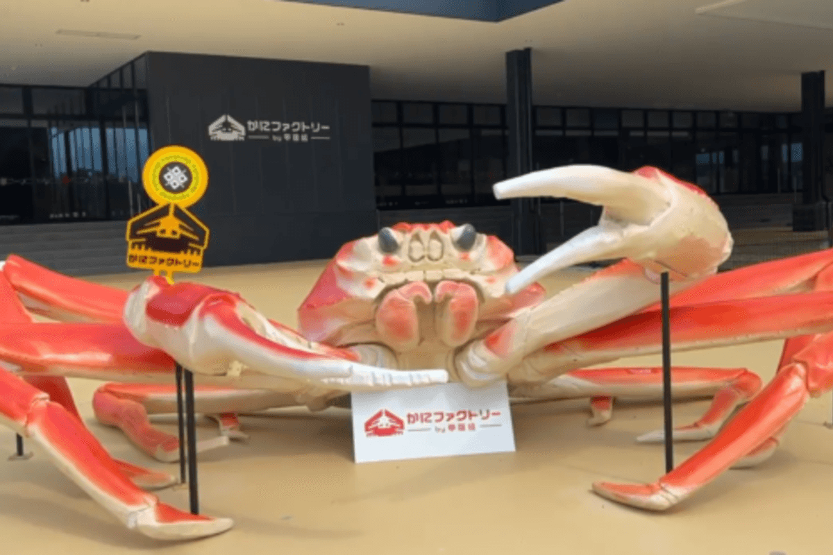 Destinasi Wisata Unik di Negeri Sakura: Menjelajahi Pabrik Pengolahan Kepiting yang Membuka Tur Kunjungan Secara Cuma-Cuma