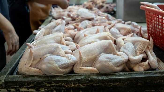 Harga Ayam Naik di Sejumlah Daerah, Bapanas Siapkan Subsidi Ongkos Distribusi untuk Dukung MBG