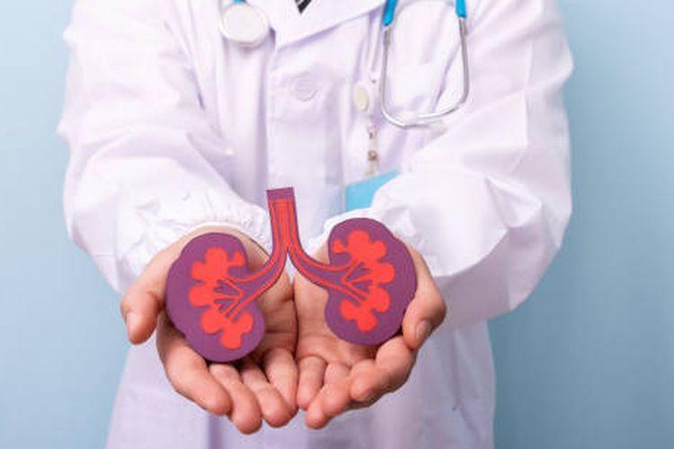 Perlindungan Ginjal: Organ Vital Penyaring Racun Tubuh