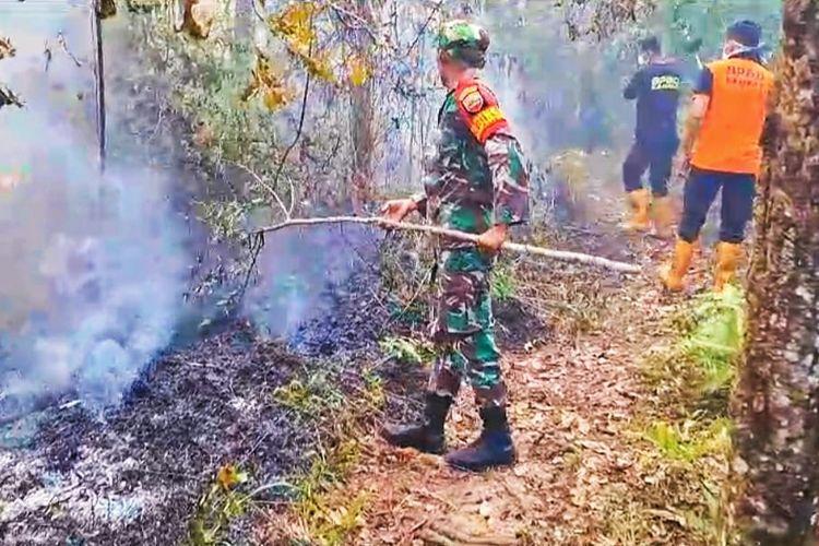 Kebakaran di Kampar, Riau Hanguskan 7 Hektare Lahan dan Hutan