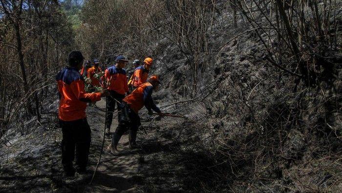 Tuntutan Kuat Pasca Kebakaran Gunung Bromo: Implementasi Sistem Pencegahan Karhutla