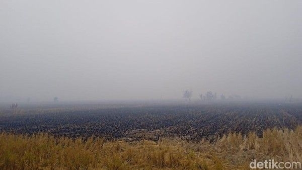kabut-asap-di-pematang-gambut-kabupaten-banjar-1789611081630_169.jpeg