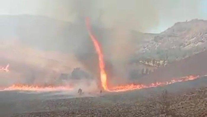 BMKG Ungkap Pemicu Fire Whirl Bikin Api Kebakaran di Bromo Bak Tornado
